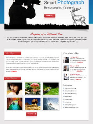 wp-theme-design-09